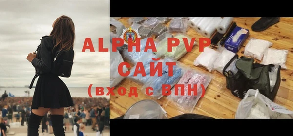 стаф Каменка