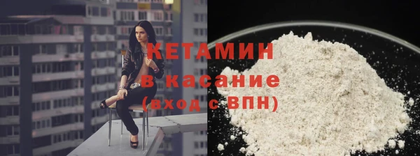стаф Каменка
