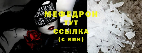 стаф Каменка