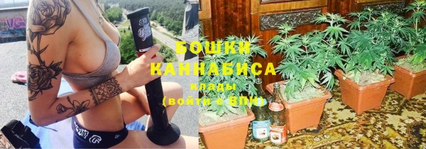 стаф Каменка