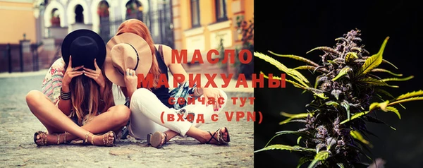 стаф Каменка