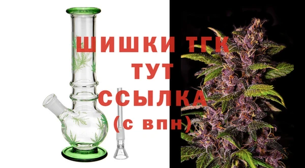 стаф Каменка
