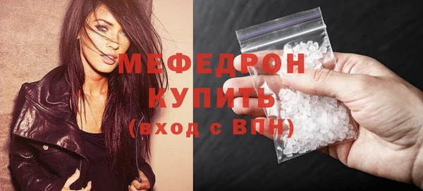 стаф Каменка