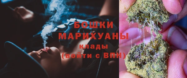 стаф Каменка